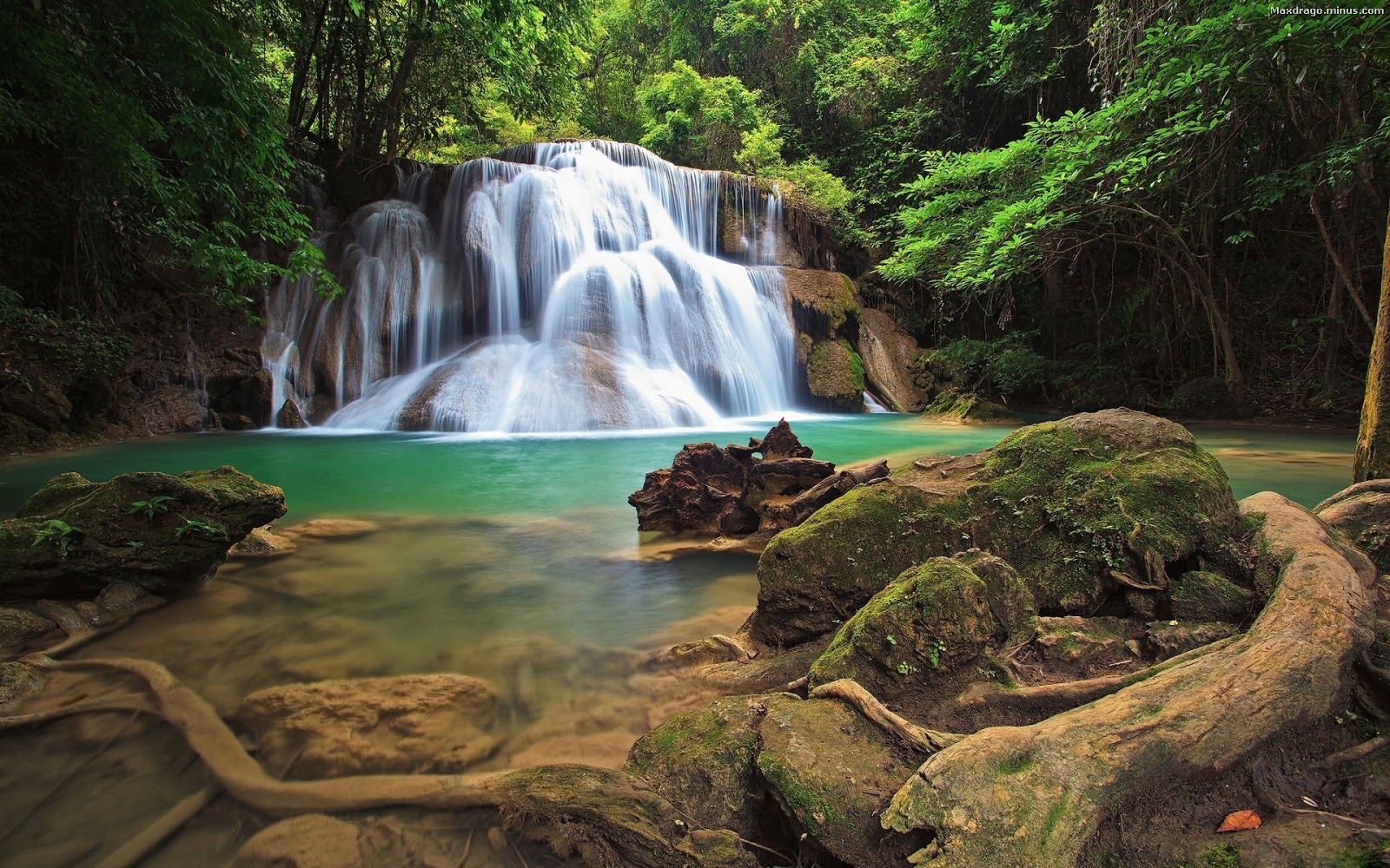 Nature in High Definition | Desktop Wallpapers
